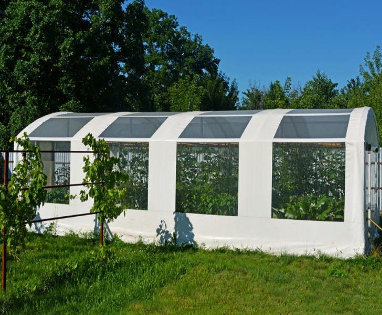 Чехлы для теплиц