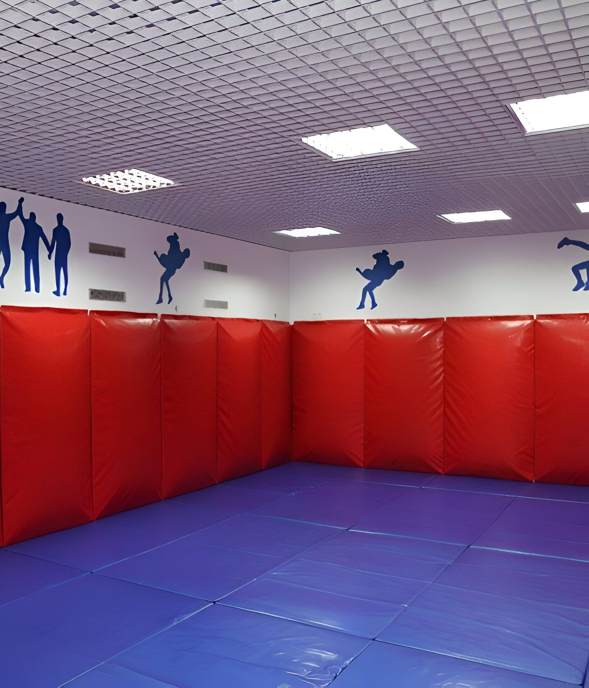 Ковры для борьбы под любые требования